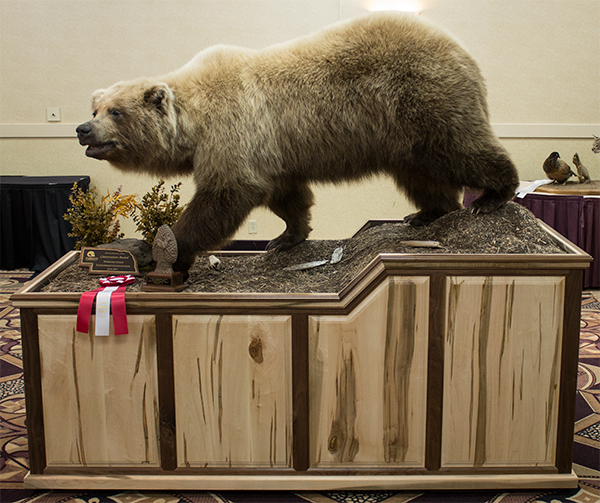 Black Walnut & Ambrosia Maple Bear Pedestal Base